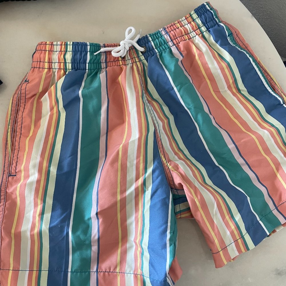 Men's Striped Swimsuit